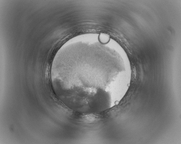 X0000114670423200912021058