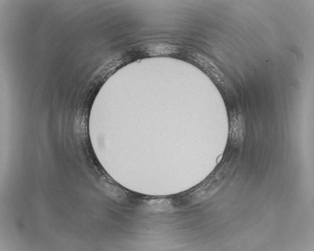 X0000114670426200912021058