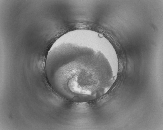 X0000114670427200912021058