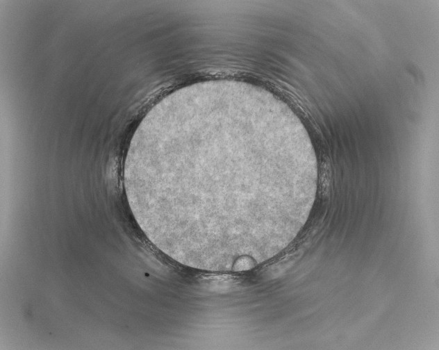 X0000114670428200912021058