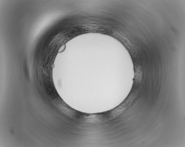 X0000114670430200912021058