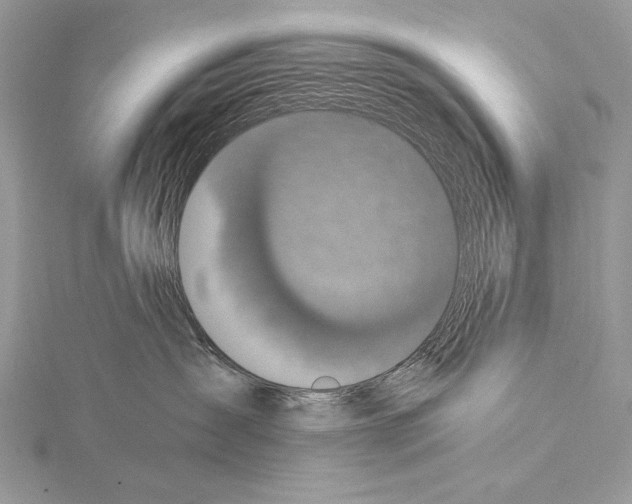 X0000114670431200912021058