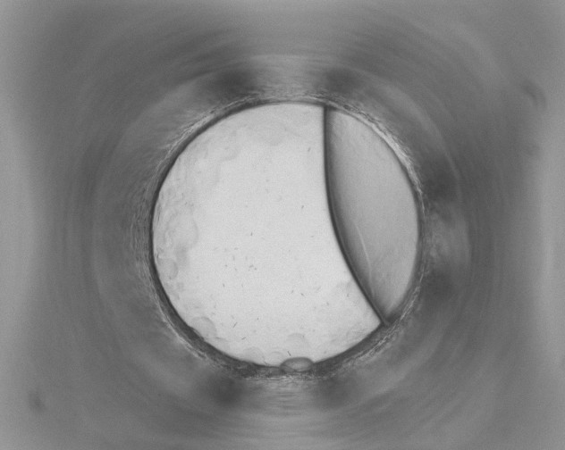 X0000114670433200912021057