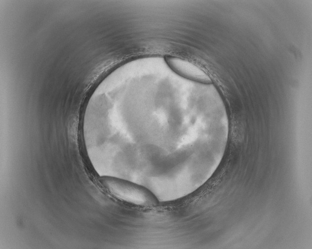 X0000114670434200912021057