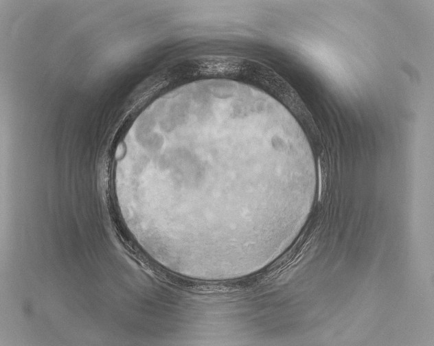 X0000114670435200912021057