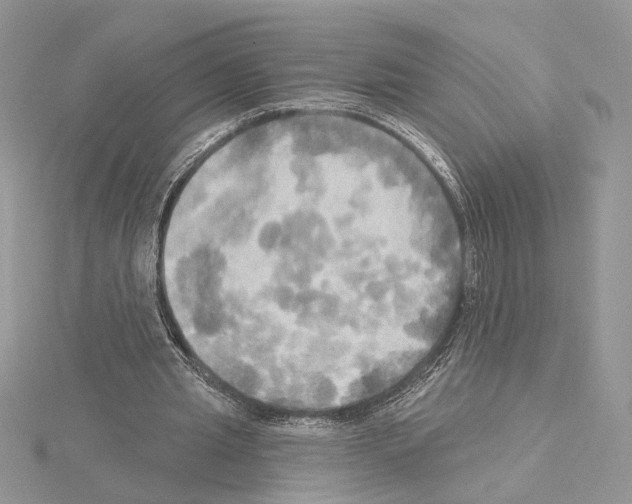 X0000114670437200912021057