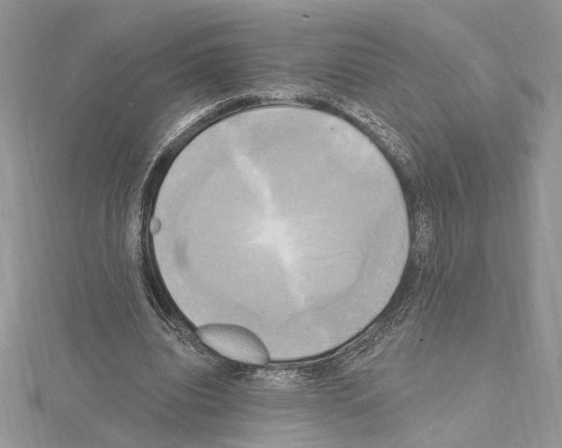 X0000114670440200912021057