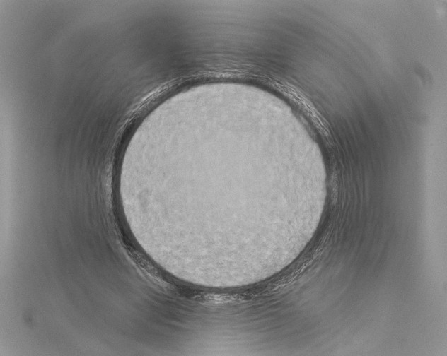 X0000114670442200912021057