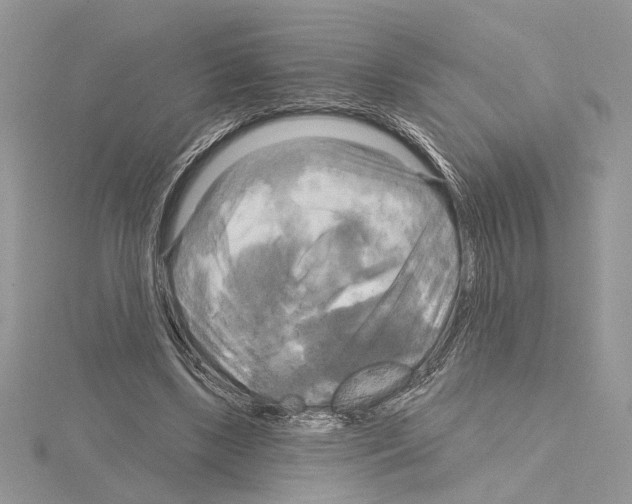 X0000114670443200912021057