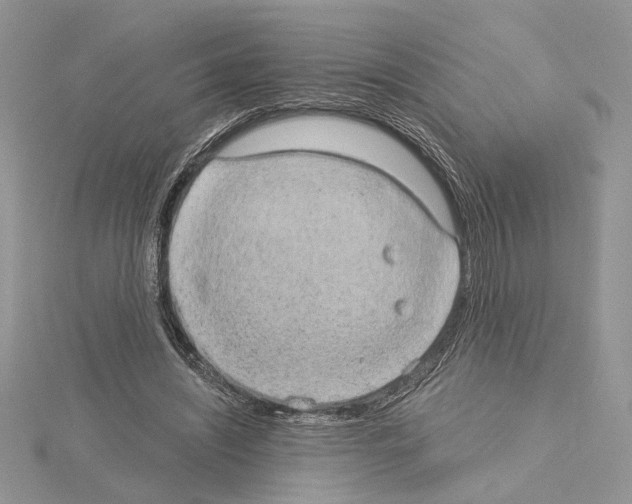 X0000114670444200912021057