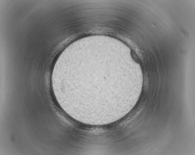 X0000114670445200912021057