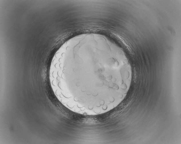 X0000114670451200912021057