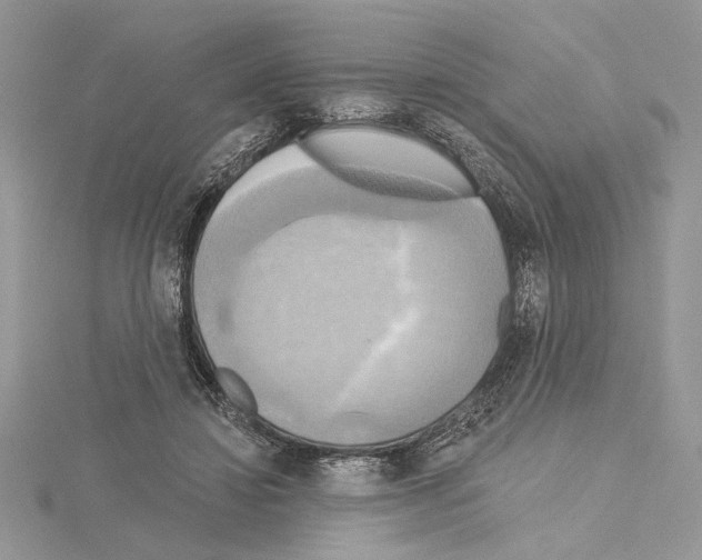 X0000114670452200912021057