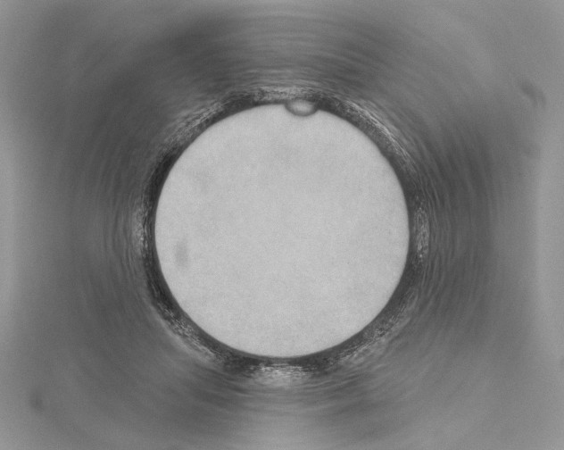 X0000114670455200912021057