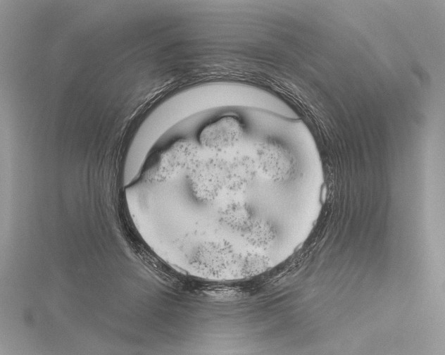 X0000114670456200912021057