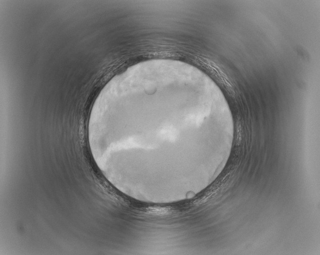 X0000114670457200912021057