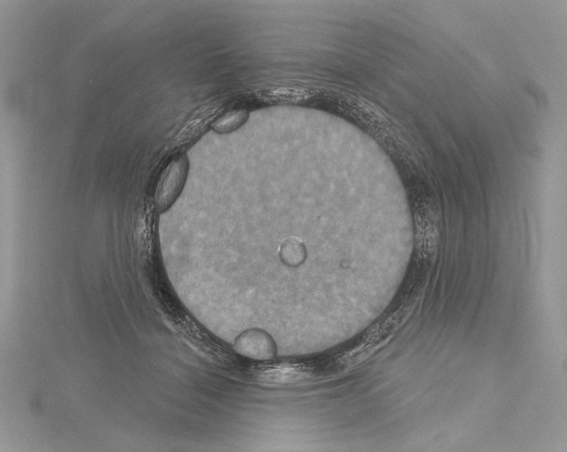 X0000114670460200912021057