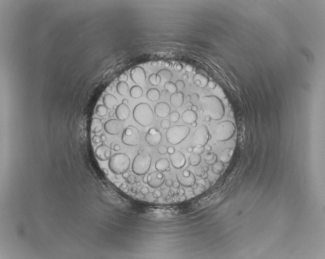 X0000114670466200912021057