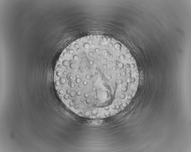 X0000114670474200912021058