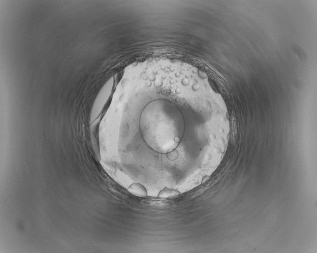 X0000114670475200912021058