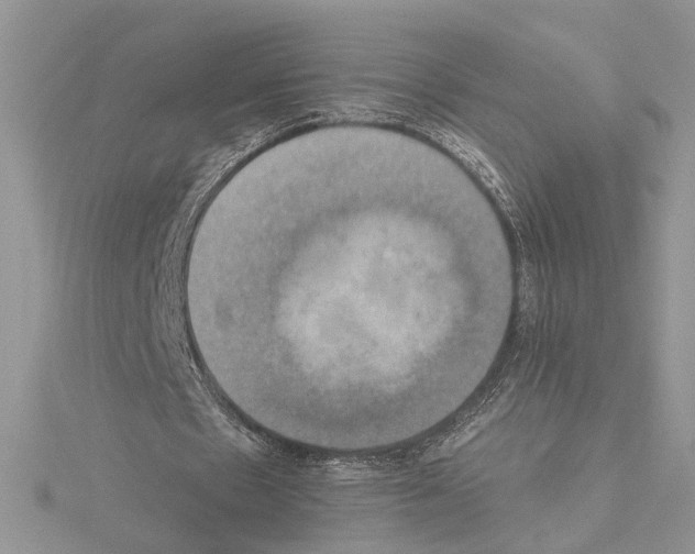 X0000114670481200912021057