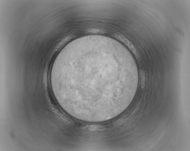 X0000114670482200912021057