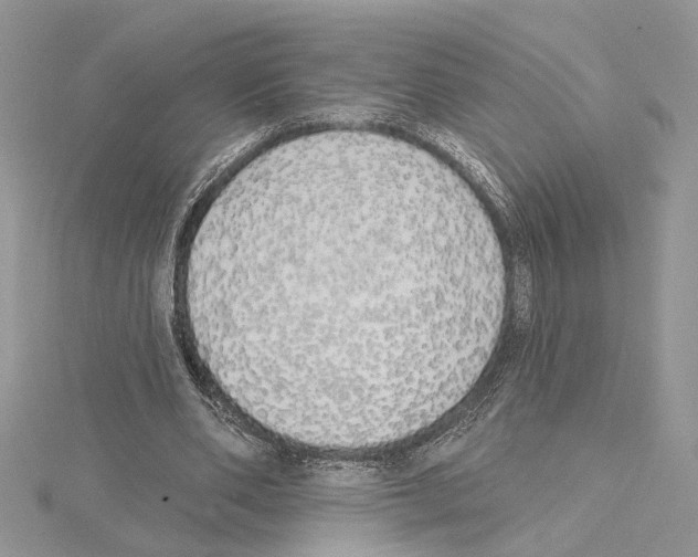 X0000114670486200912021057