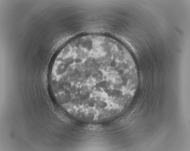 X0000114670487200912021057