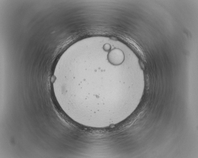 X0000114670489200912021057