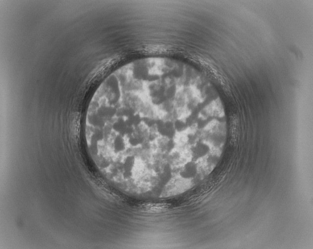 X0000114670495200912021057