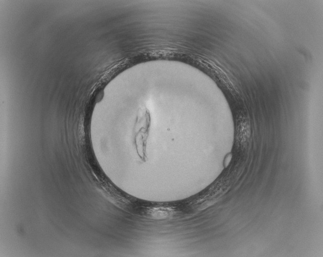 X0000114670508200912021057