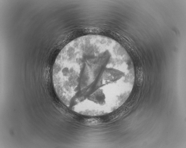 X0000114670511200912021056