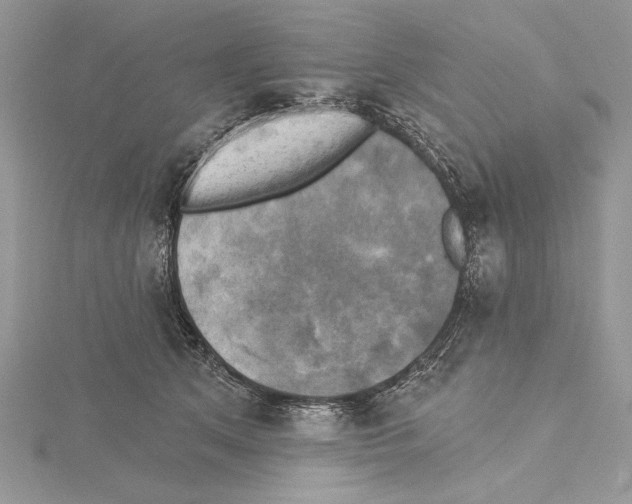 X0000114670513200912021056