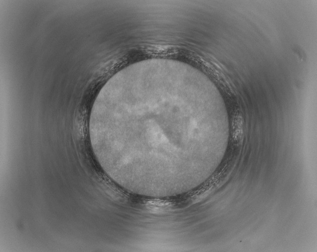 X0000114670515200912021056