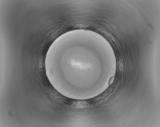 X0000114670517200912021056