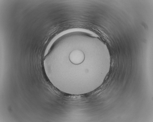 X0000114670524200912021056