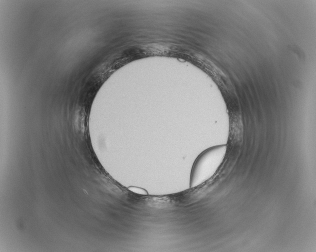 X0000114670525200912021056