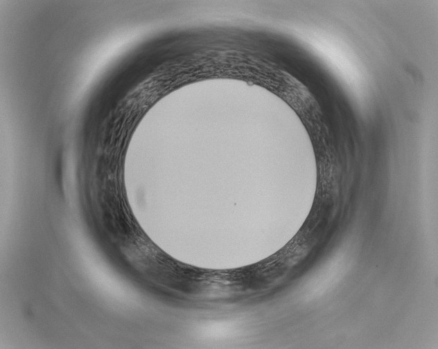 X0000114670526200912021056