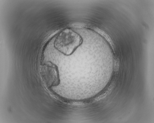 X0000114670529200912021055