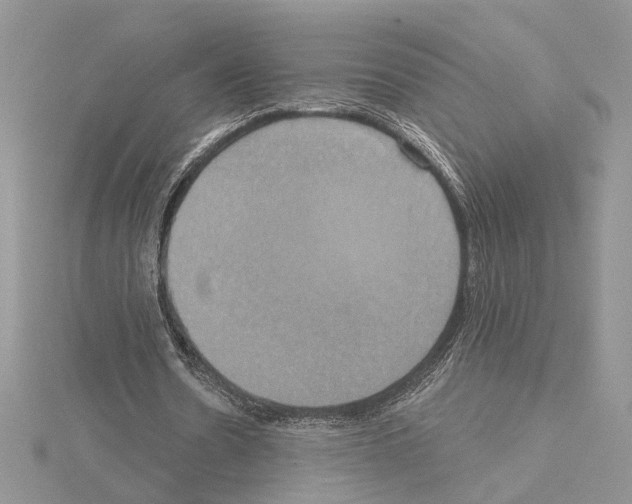 X0000114670530200912021055