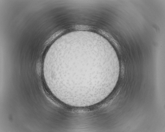 X0000114670533200912021056