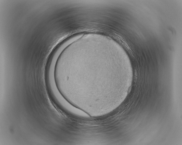 X0000114670534200912021056