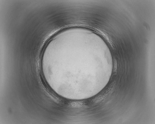 X0000114670535200912021056