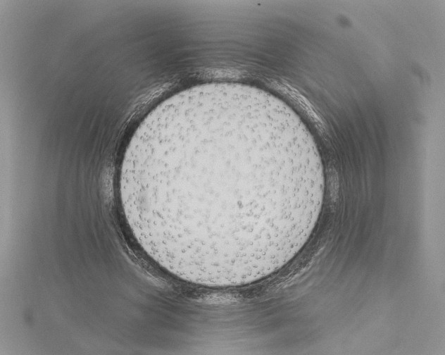 X0000114670537200912021056