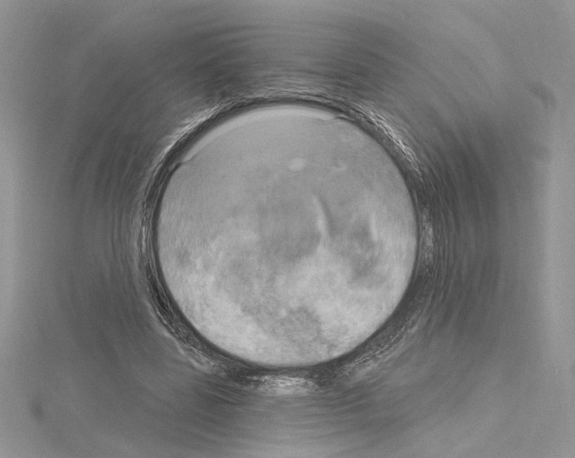 X0000114670539200912021056