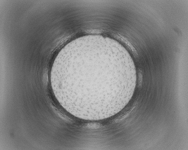 X0000114670541200912021056