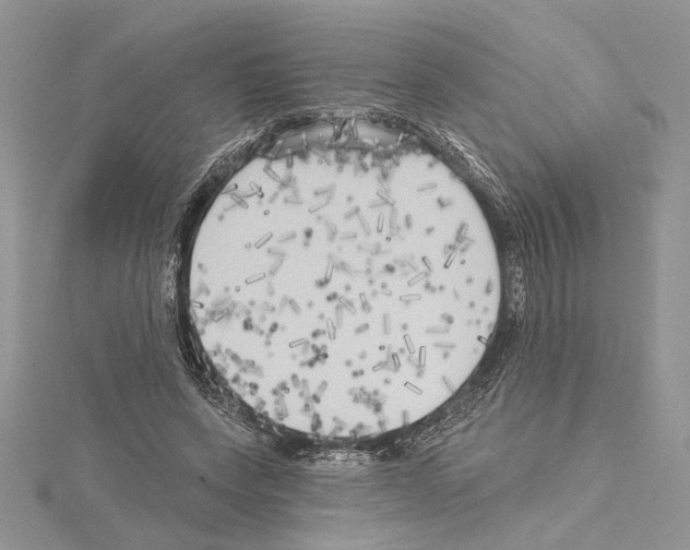 X0000114670543200912021056