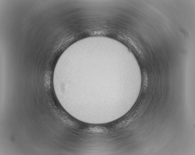 X0000114670545200912021056