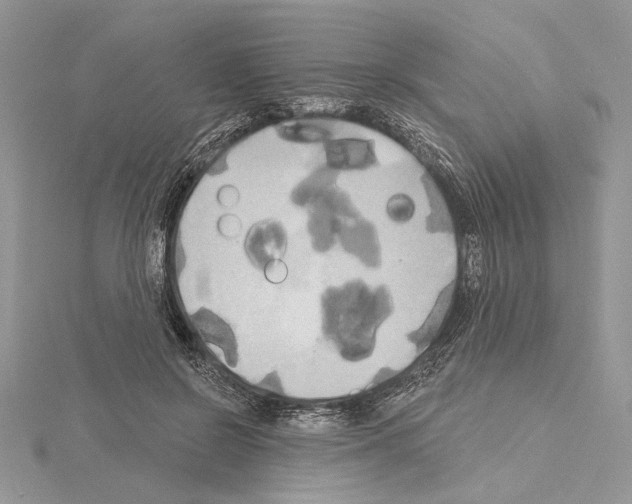 X0000114670550200912021056