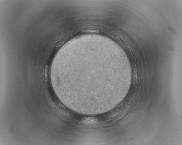 X0000114670551200912021056